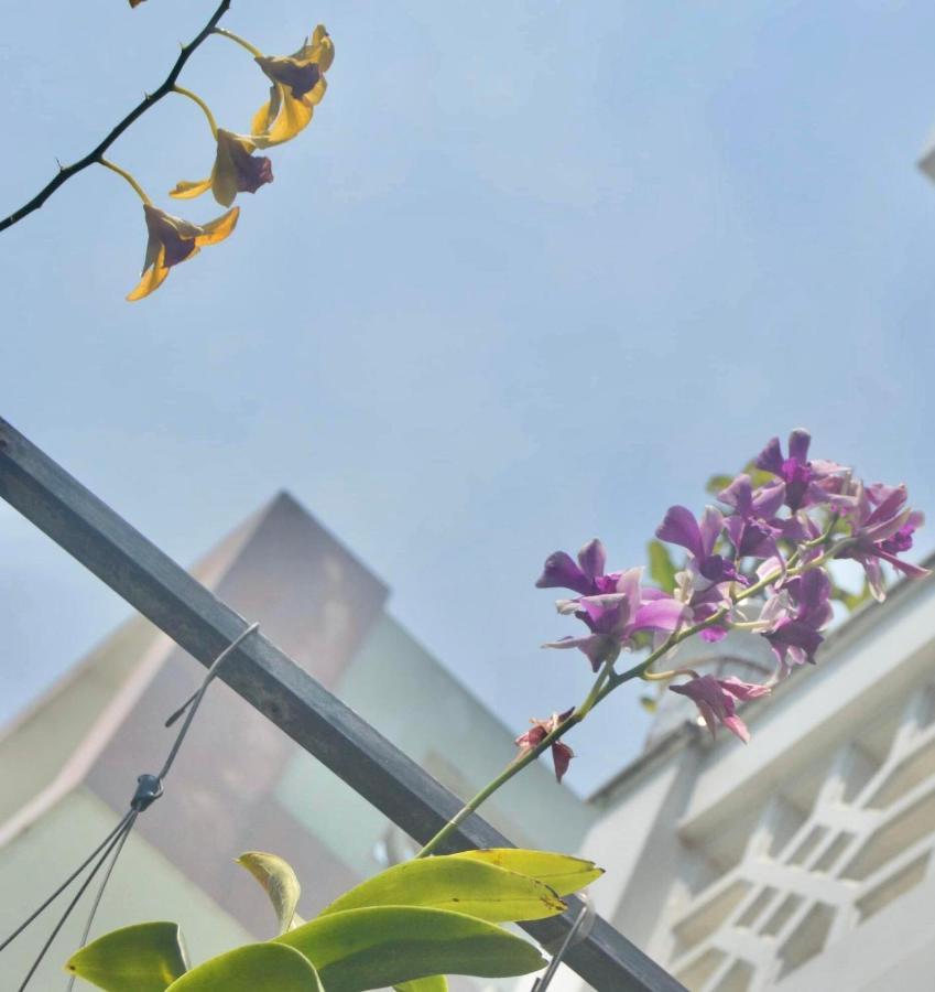 The House 36 Apartment Hoi An Bagian luar foto
