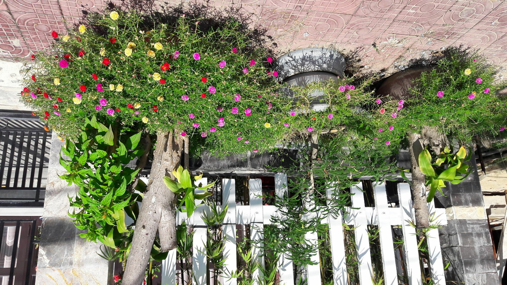 The House 36 Apartment Hoi An Bagian luar foto